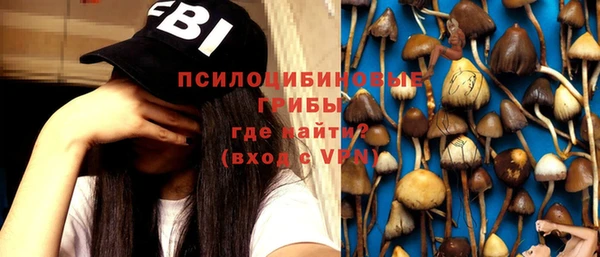 бошки Канск
