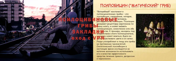 мяу мяу мука Баксан