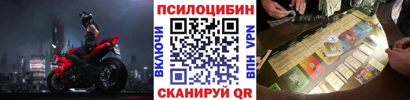 кракен вход  Красный Сулин  Галлюциногенные грибы Cubensis 